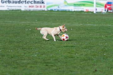 Bild 28 - Frauen MTSV Olympia NMD - SG Ratekau-Strand 08 : Ergebnis: 1:1